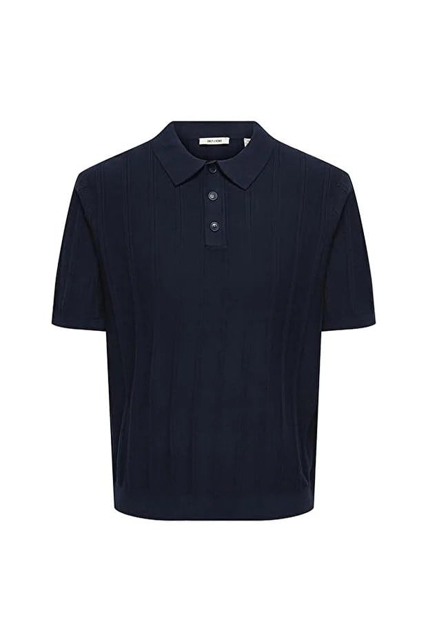 ONLY & SONS ONSTHIJS  RLX SS POLO KNIT 22036558