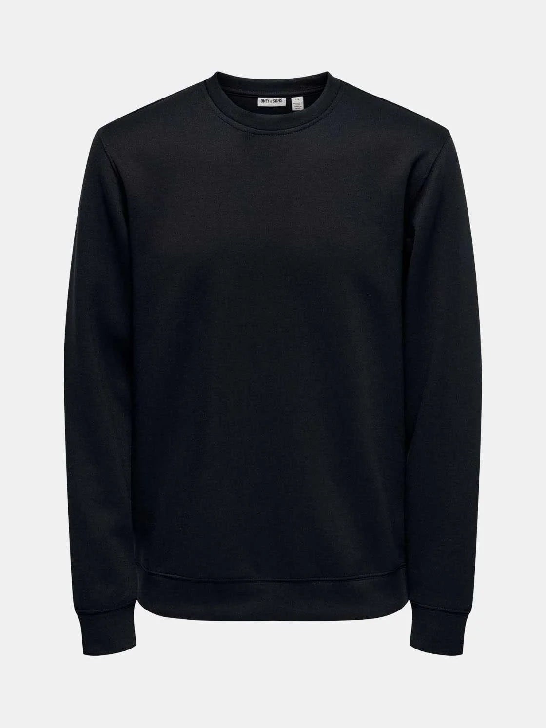 ONSLUCA LIFE REG LS CREW SWEAT 22035201