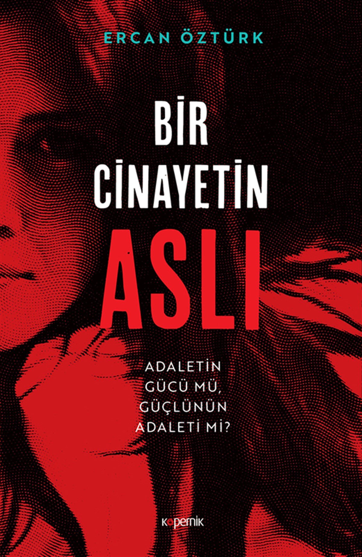 Bir Cinayetin ASLI