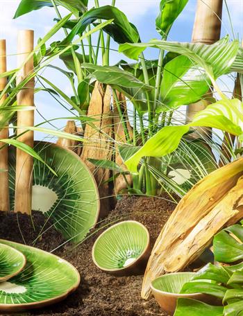 Kiwi Formlu Kase 14 cm