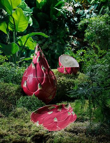 Pitaya Formlu Kase 14 cm