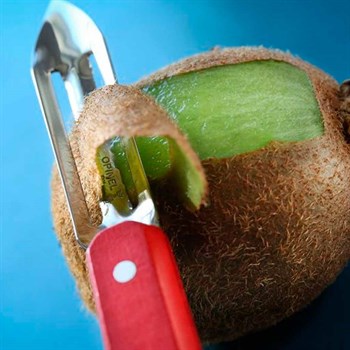 DOMATES İÇİN TIRTIKLI SOYUCU