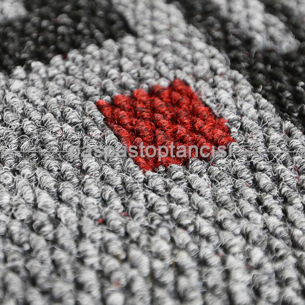 Elektronik Firmaları için Logolu Paspas