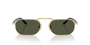 0PO1020S Unisex Güneş Gözlüğü