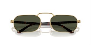 0PO1020S Unisex Güneş Gözlüğü