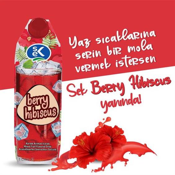 Sek Berry Hibiscus 1 lt - Onur Market