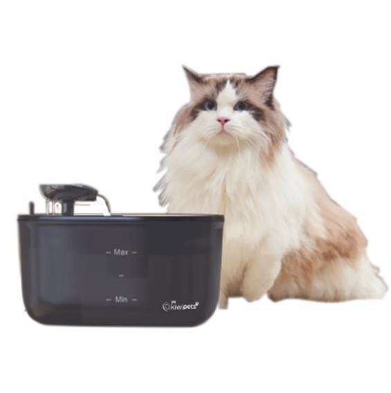 KIWI PETS KPF 10555 KEDI SU PINARI