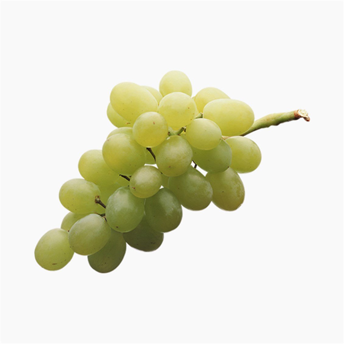 Виноград на англ. Seedless grapes виноград. Виноград светлый. Виноград зеленый. Виноград на белом фоне.
