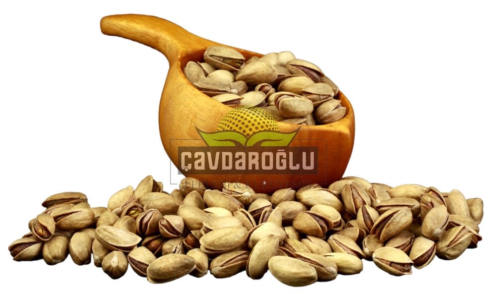 Antep Fıstığı (Ana Çıtlak)