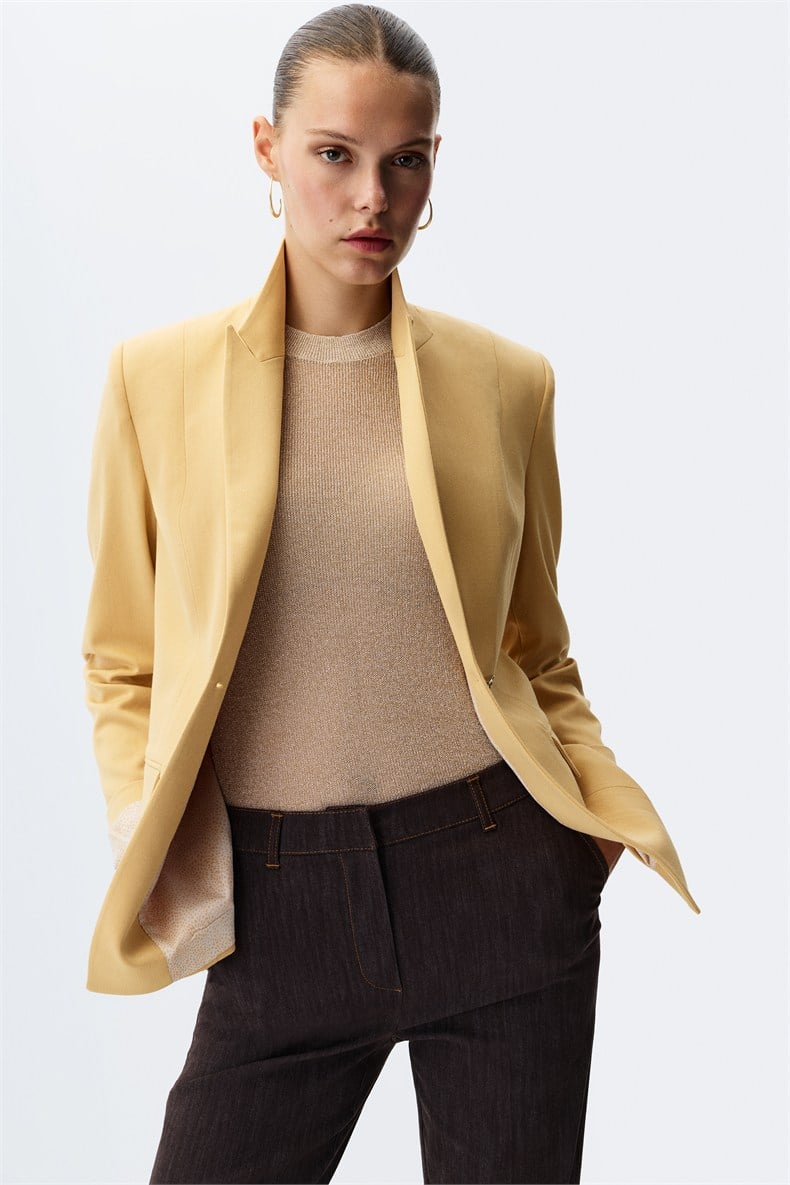 Blazer ceket