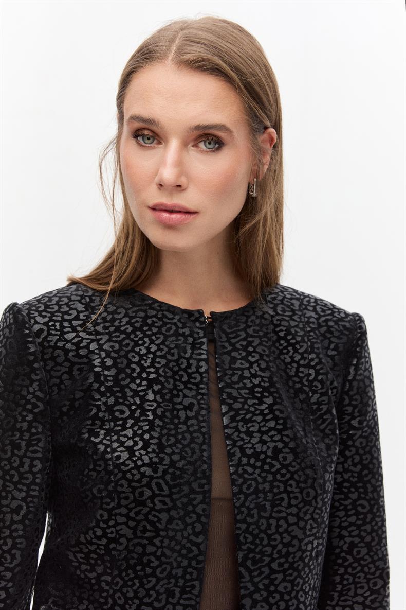 Desenli kadife blazer takım