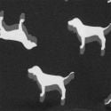 Logo Shortie Külot