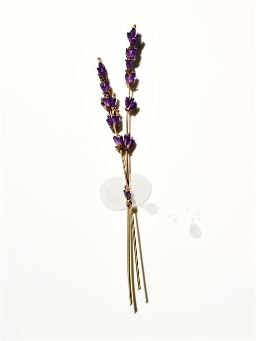 Lavender Seyahat Boy Vücut Losyonu