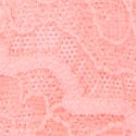 File Dantelli Brazilian Külot