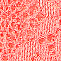 Dantelli Tanga