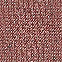 Seamless Bikini Külot
