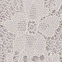 Dantelli Brazilian Külot