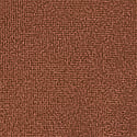 Dantelli Brazilian Külot