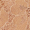 Dantelli Brazilian Külot