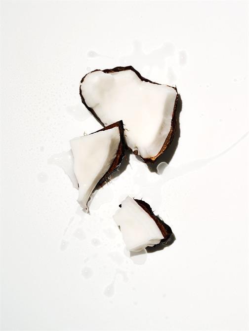 Coconut Mini Vücut Losyonu