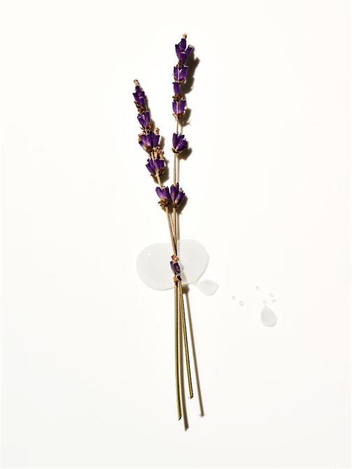 Lavender Seyahat Boy Vücut Losyonu