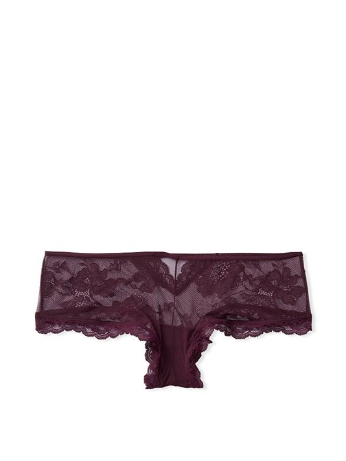 Sheer Mesh & Lace Cutout Cheeky Panty