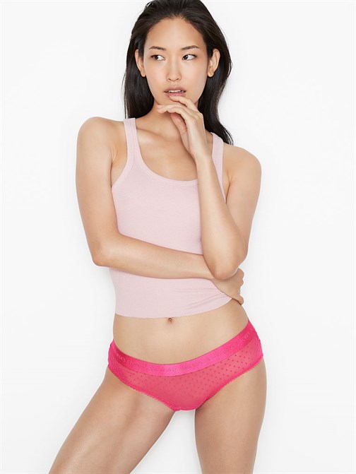 Sheer Mesh Flocked Hiphugger Panty