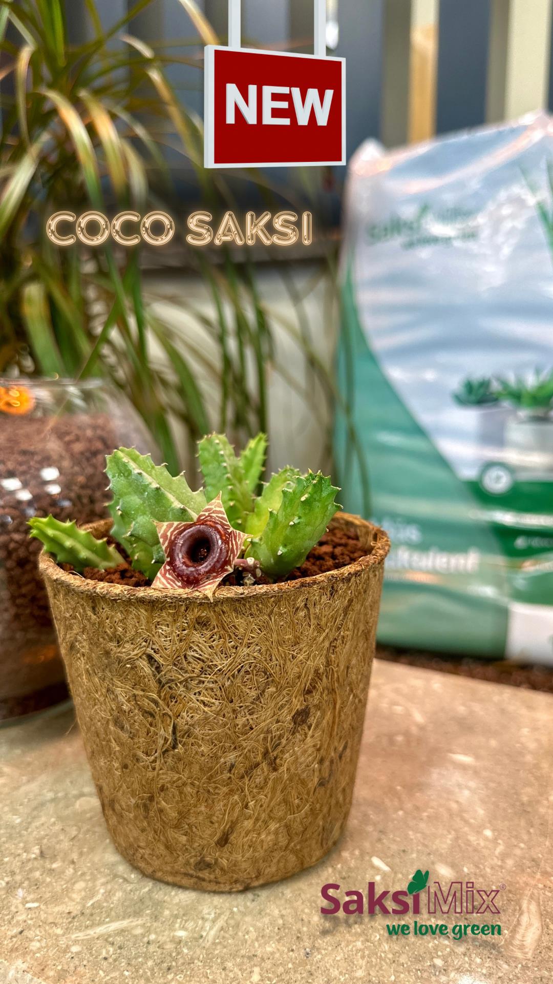 Coco Pot 12x15 cm Organik Bitki Saksısı