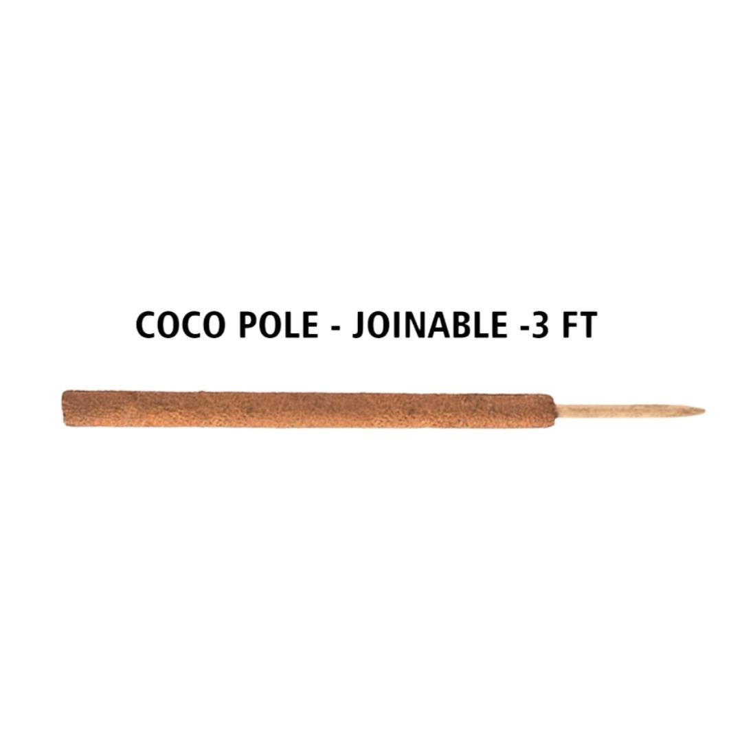 Bitki Destek Çubuğu Coco Pole 92x6 cm Geçirilebilir Doğal Hindistan Cevizi Direği