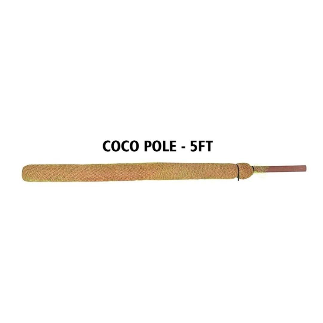 Bitki Destek Çubuğu Coco Pole 155x7 cm Doğal Hindistan Cevizi Direği