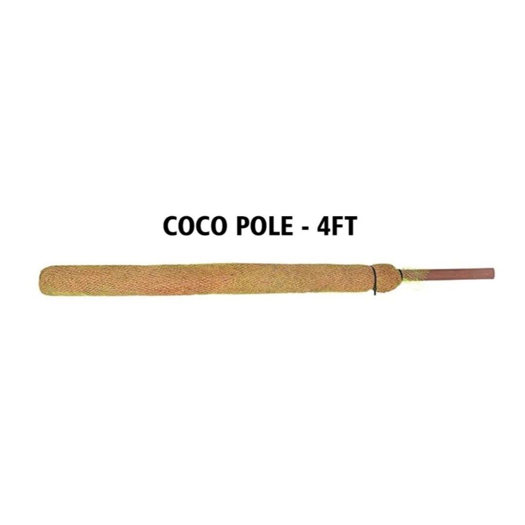 Bitki destek Çubuğu Coco Pole 124x7 cm Doğal Hindistan Cevizi Direği
