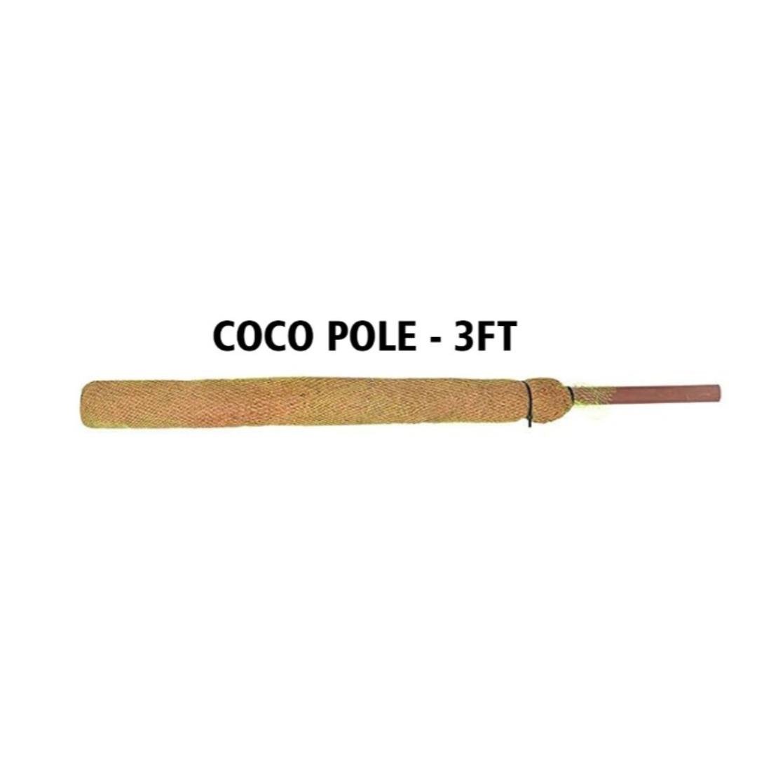 BitkiDestek Çubuğu Coco Pole 94x6 cm Doğal Hindistan Cevizi Direği