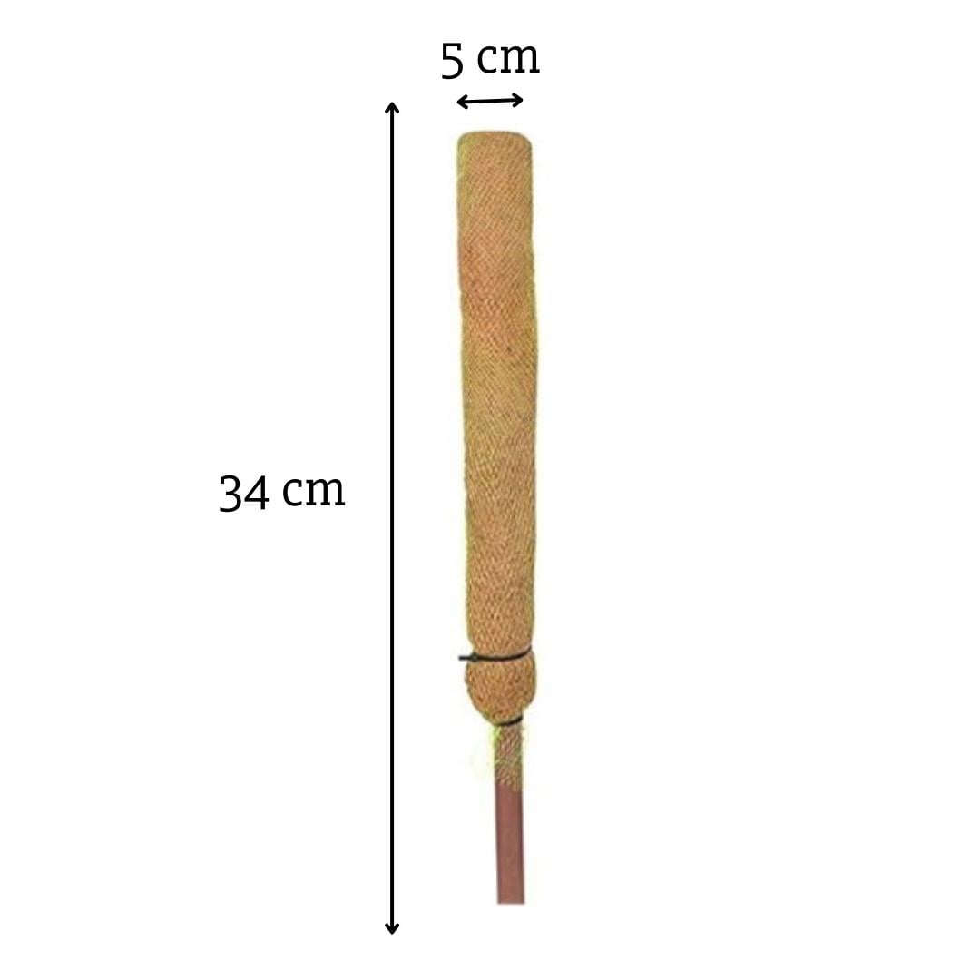 CCoco Pole 34x5 cm Doğal Hindistan Cevizi Direği