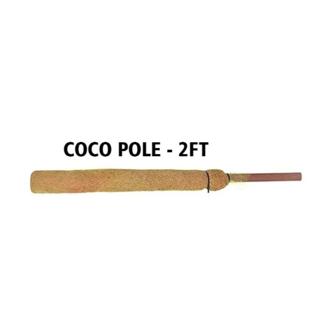 Bitki Destek Çubuğu Coco Pole 64x6 cm Doğal Hindistan Cevizi Direği