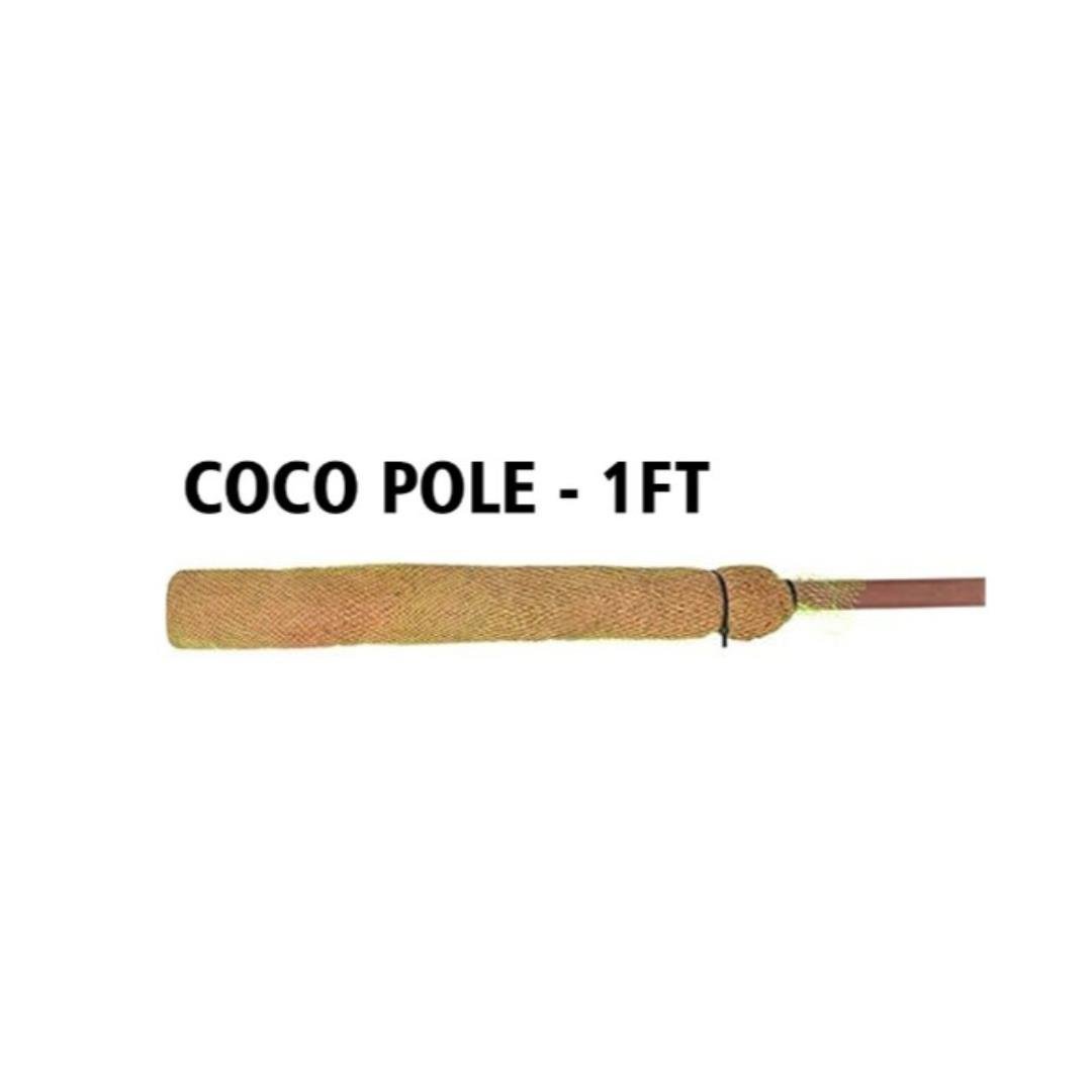 Bitki Destek Çubugu Coco Pole 34x5 cm Doğal Hindistan Cevizi Direği