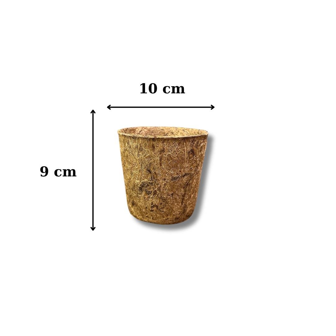 Coco Pot 5 adet 9x10 cm Organik Bitki Saksısı