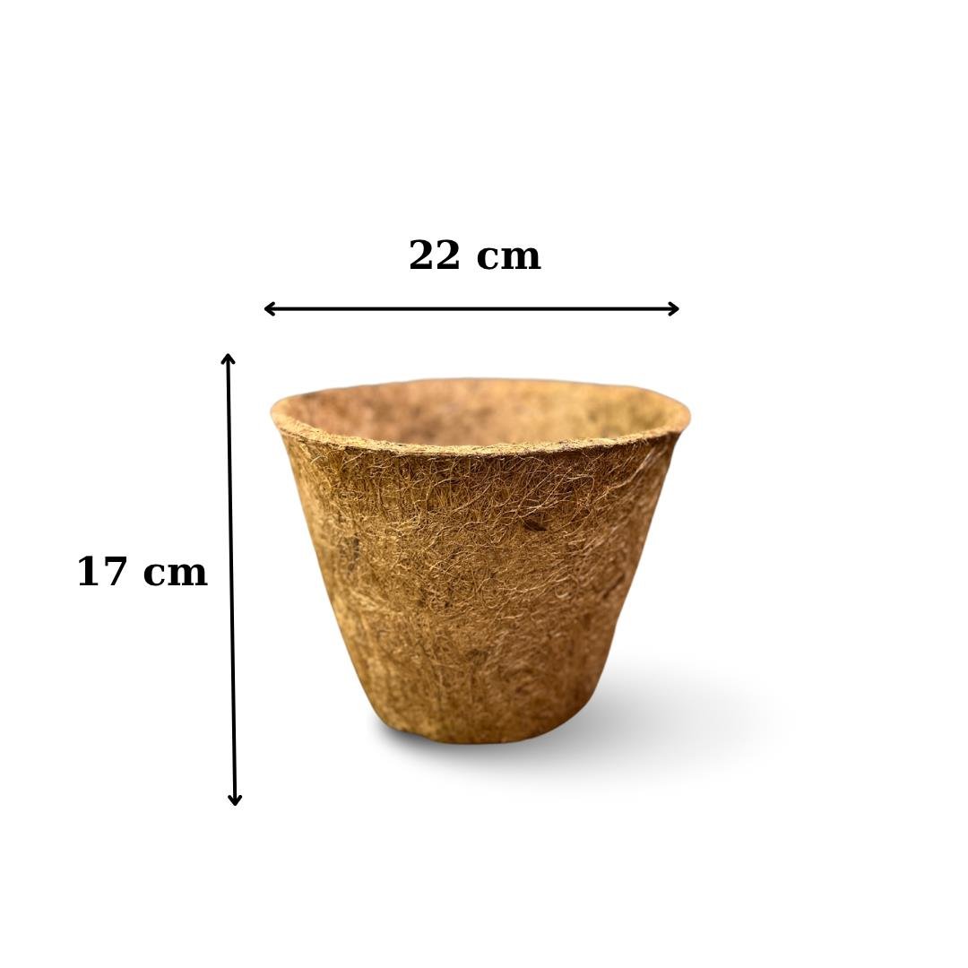 Coco Pot 17x22 cm Organik Bitki Saksısı