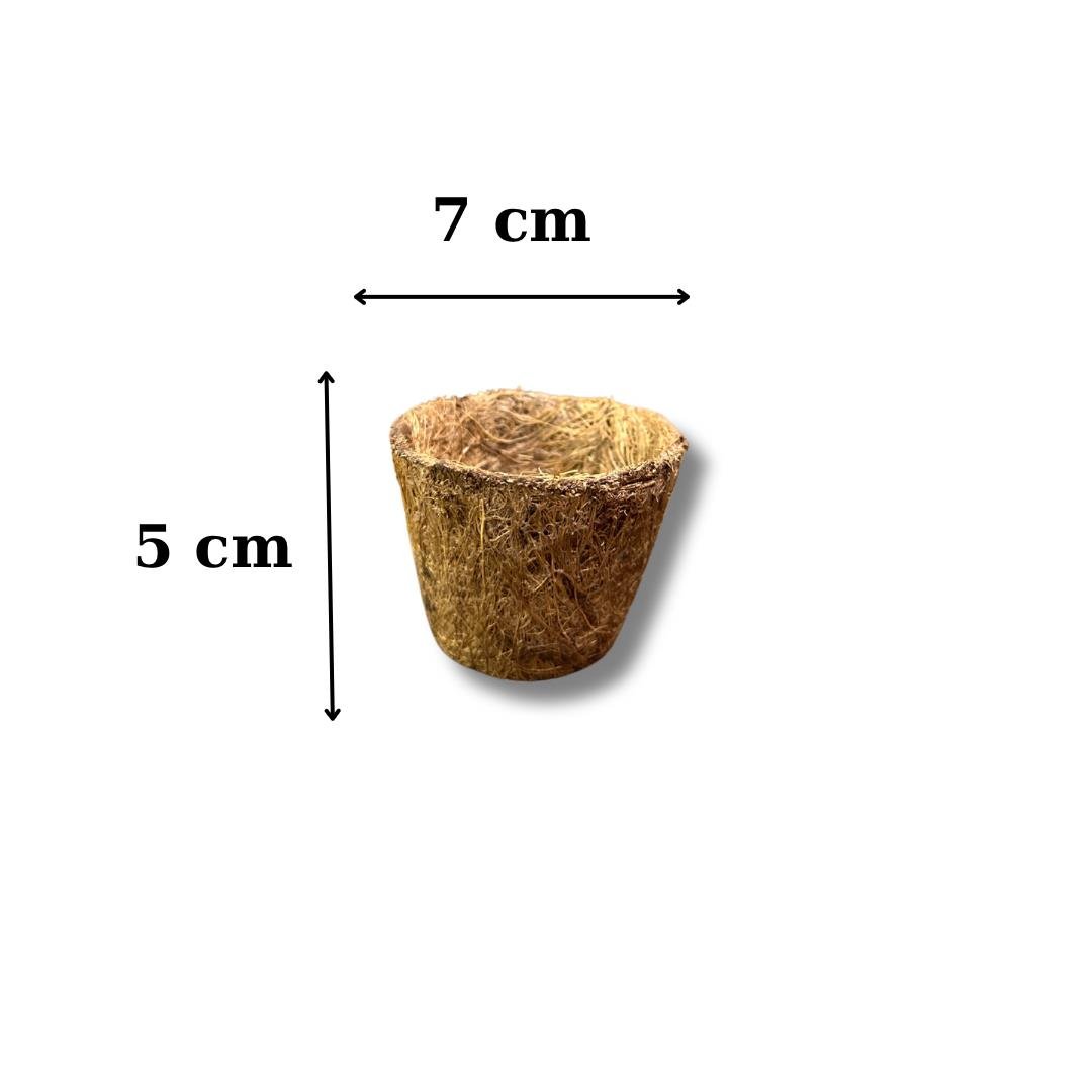 Coco Pot 5 adet 5x7 cm Organik Bitki Saksısı