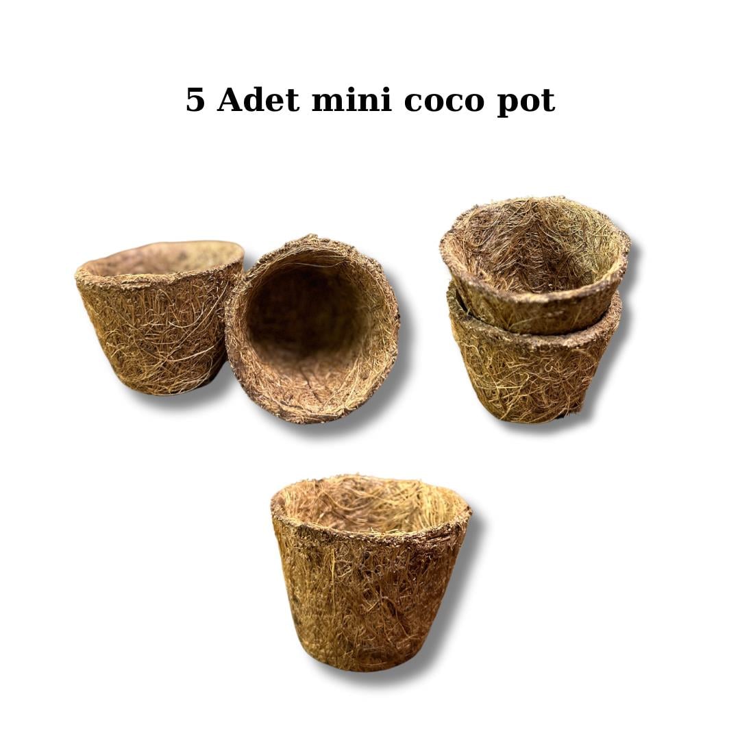 Coco Pot 5 adet 5x7 cm Organik Bitki Saksısı