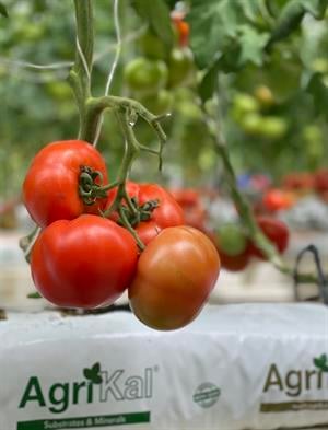 25 L Growbag Hazır Sebze Yetiştirme Torbası