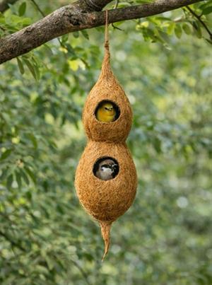 Cocopeat Asılabilen Doğal Çift Kuş yuvası