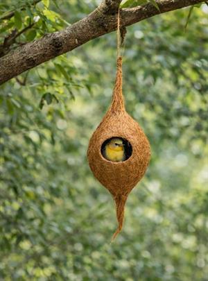 Cocopeat Asılabilen Doğal Tek Kuş yuvası