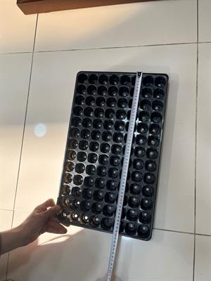 104 Gözlü 5 Adet Viyol