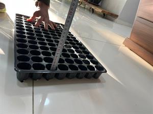 104 Gözlü 5 Adet Viyol