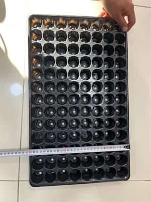 104 Gözlü 5 Adet Viyol