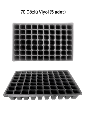 70 Gözlü 5 Adet Viyol 