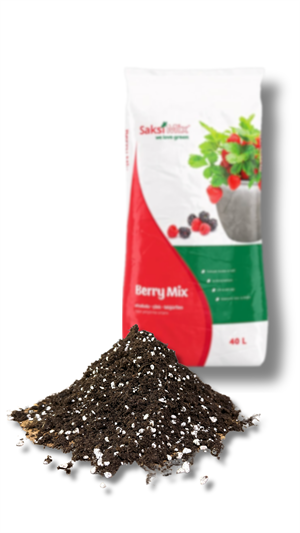 40 L Berry Mix Çilek Yetiştirme ortamı