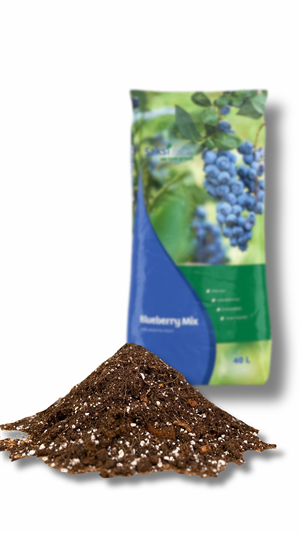 40 L Blueberry Mix Asidik Bitki Yetiştirme Ortamı