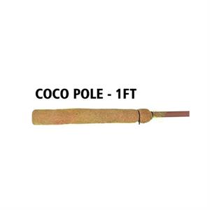 CCoco Pole 34x5 cm Doğal Hindistan Cevizi Direği