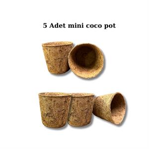 Coco Pot 5 adet 9x10 cm Organik Bitki Saksısı
